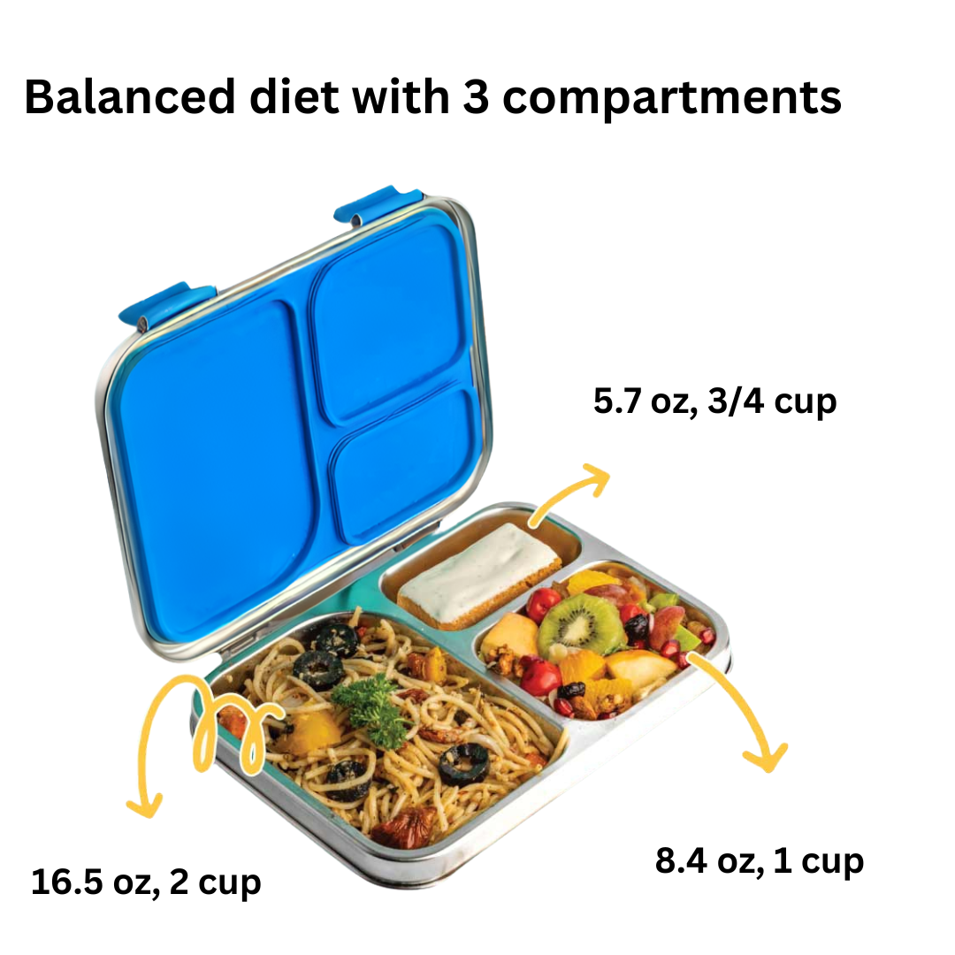Bento Steel - Blue